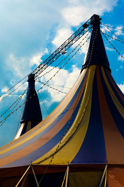 Narizes Vermelhos (2025) poster