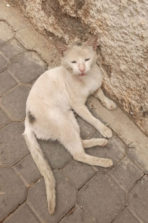 Such a Start (2021) poster