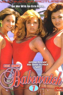 Babewatch 7 (1997) poster