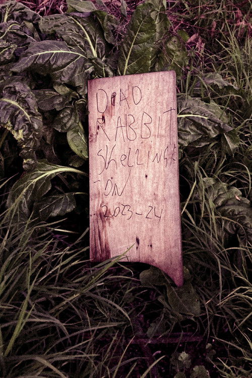 Dead Rabbit Skellington (2024) poster