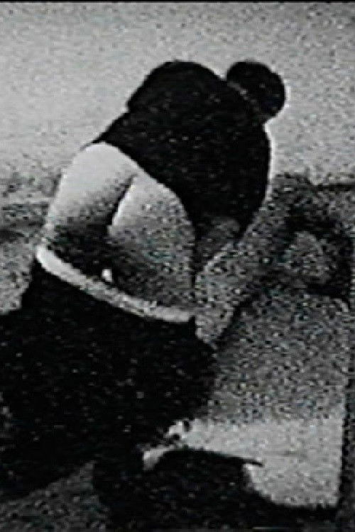 Quiver (1999) poster