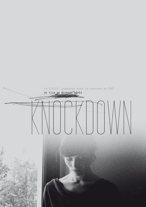 Knockdown (2016) poster
