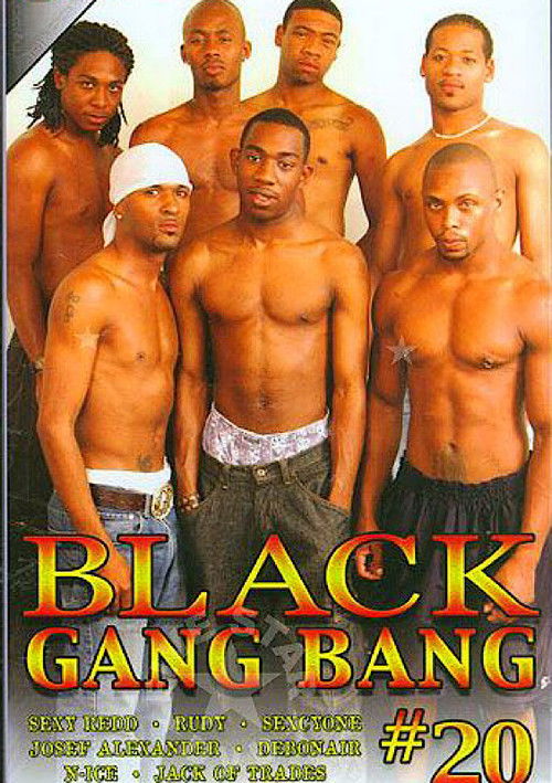 Black Gang Bang 20 (2004) poster