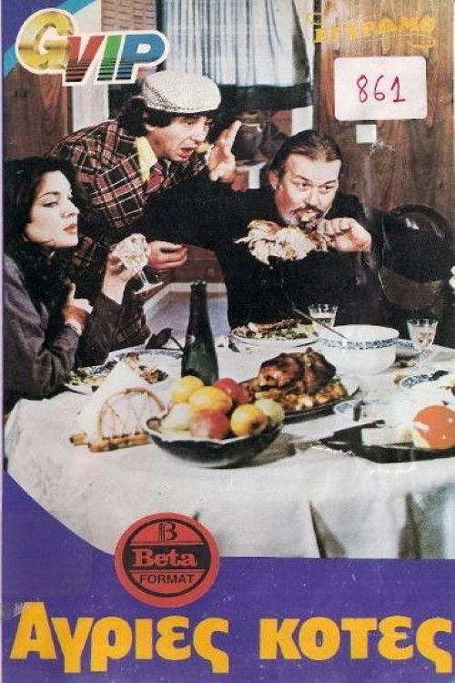 Wild Chickens (1981) poster