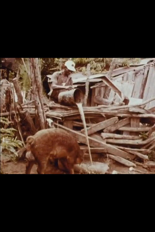 Bottle Up and Go (1980) poster