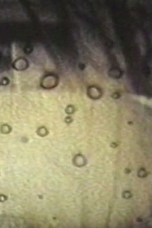 Alone at Last_1988 (1988) poster