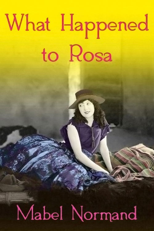 What Happened To Rosa (1920) poster