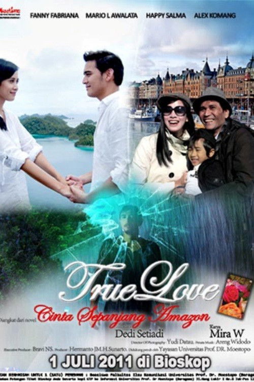 True Love (2011) poster