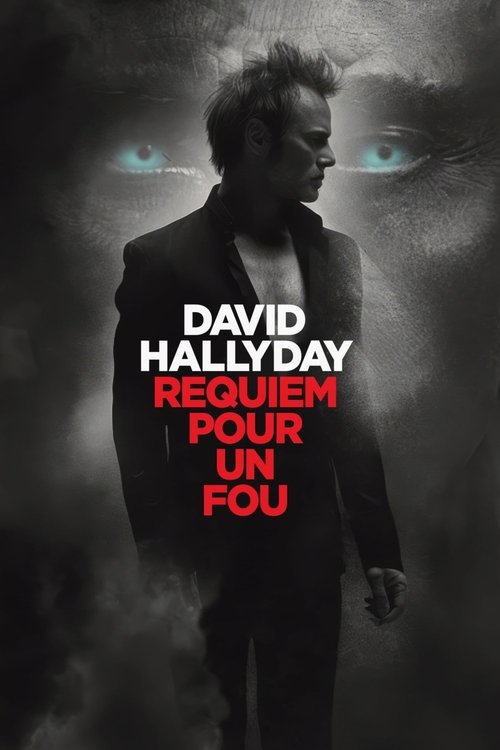 David Hallyday, requiem pour un fou (2025) poster