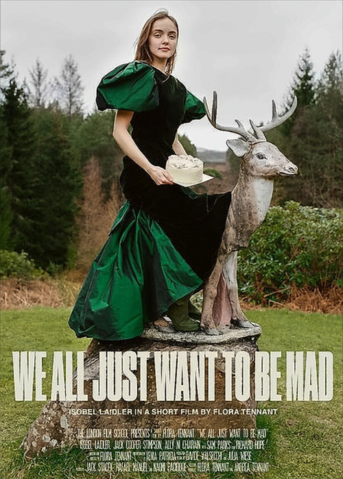 We All Just Want to Be Mad (2020) poster
