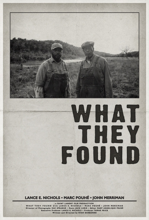 What They Found (2023) poster