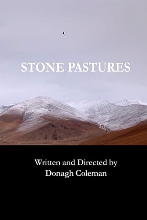 Stone pastures (2010) poster