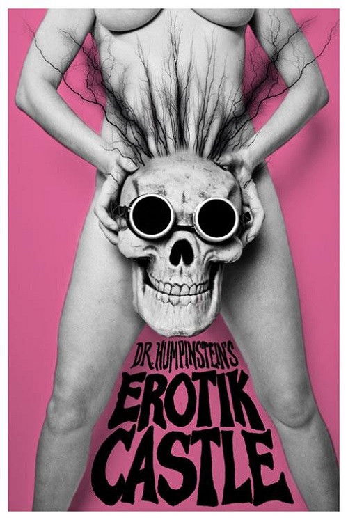 Dr. Humpinstein's Erotik Castle (2011) poster