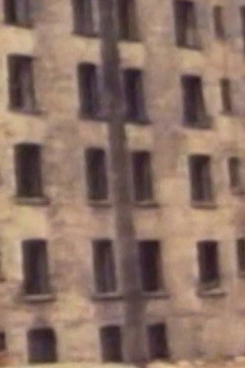 Lower East Side (LES) (1976) poster