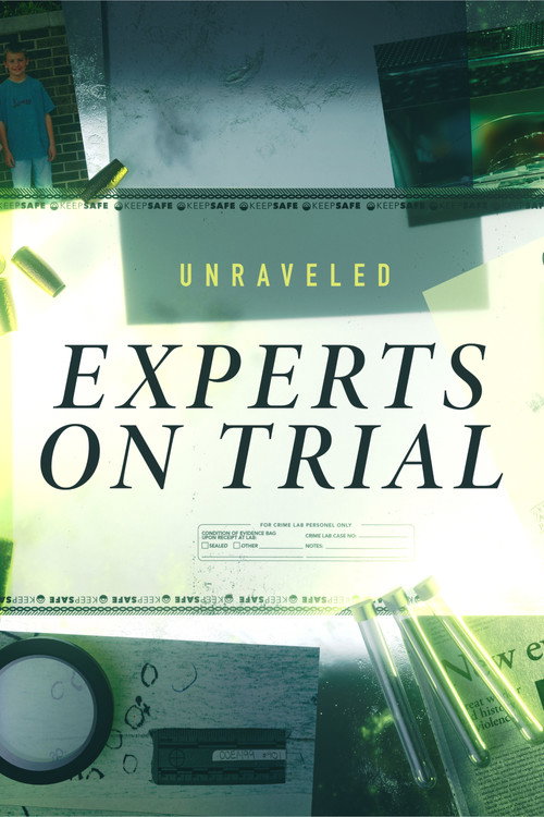 Unraveled: Experts on Trial (2021) poster