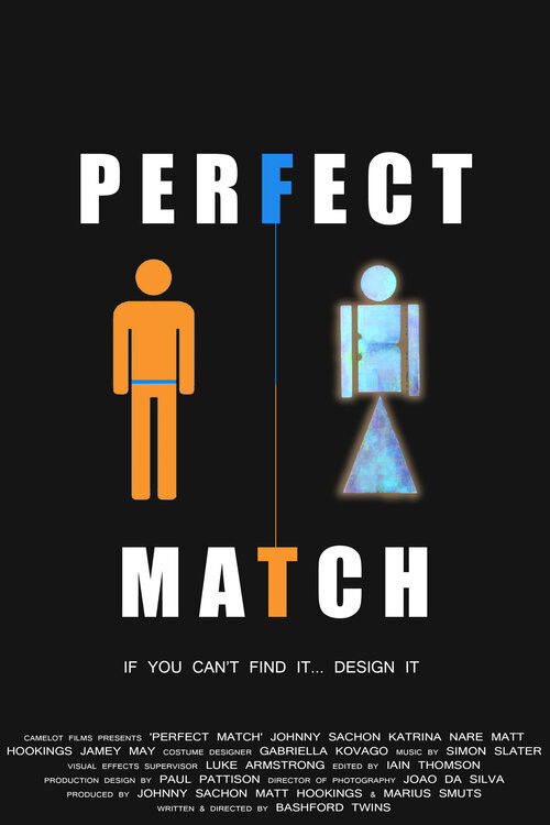 Perfect Match (2014) poster