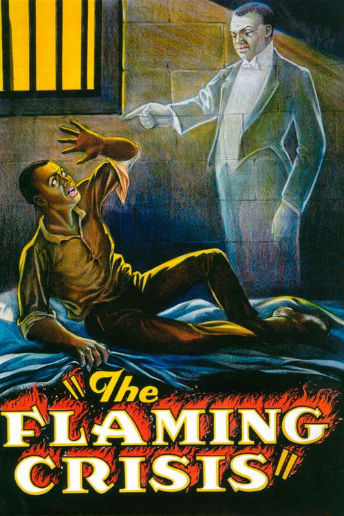The Flaming Crisis (1924) poster