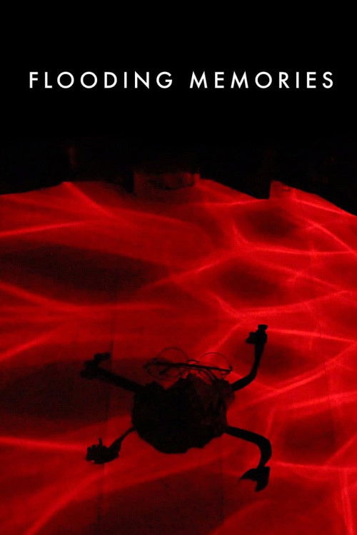 Flooding Memories (2023) poster