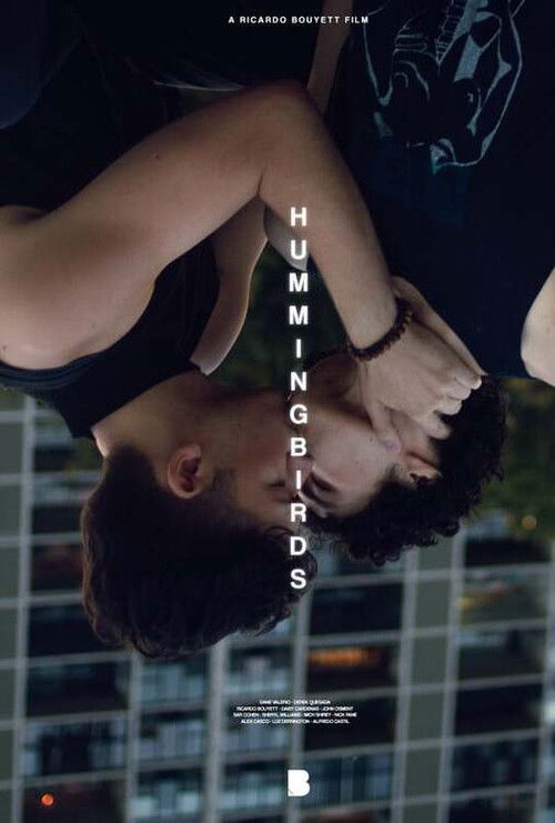 Hummingbirds (2023) poster