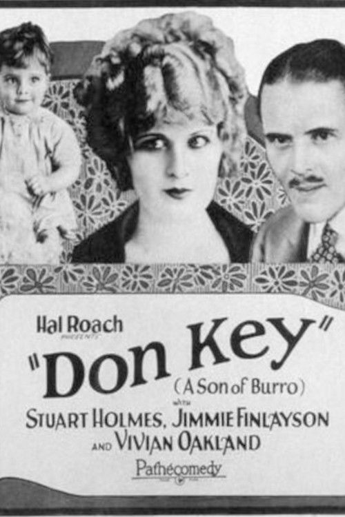 Don Key (Son of Burro) (1926) poster
