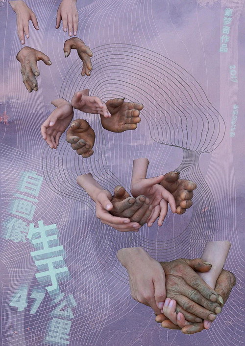 Self Portrait: Birth in 47 KM (2016) poster