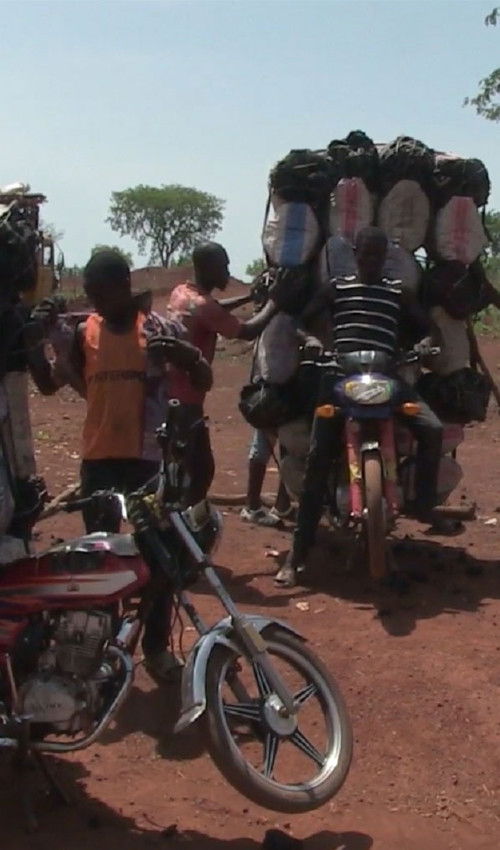 Wakis, Tree Hunter (2020) poster