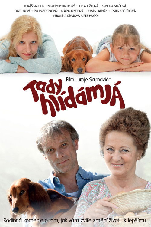 Tady hlídám já (2012) poster