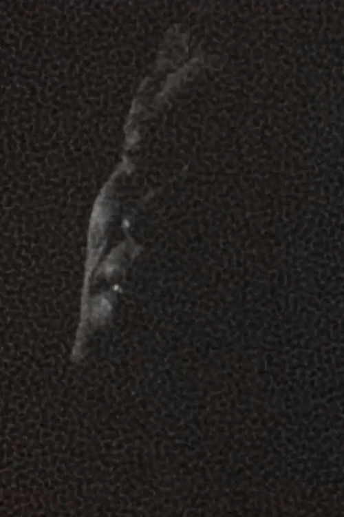 Aged in Wood (1975) poster