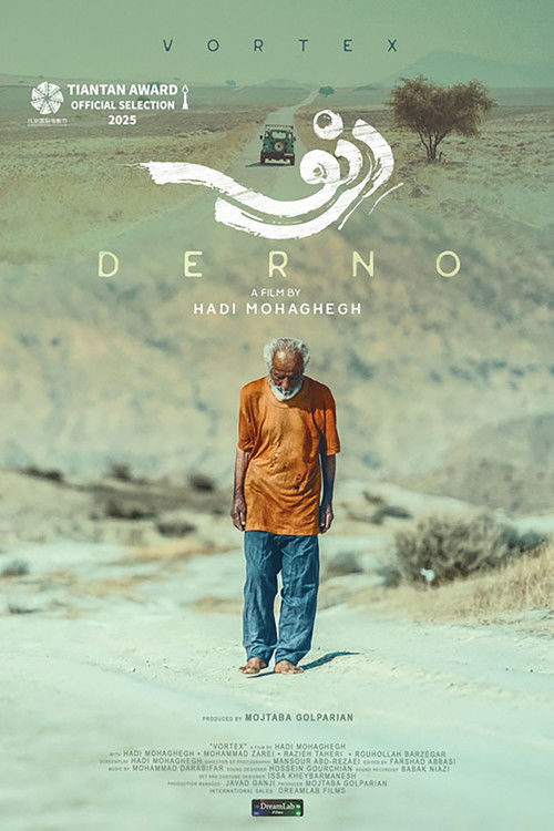 Vortex (2025) poster