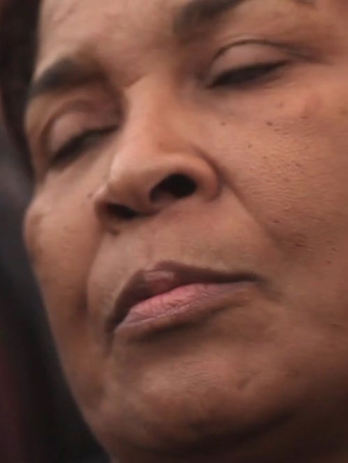 Retrato n.1 Povo acordado e suas 1000 Bandeiras (2013) poster