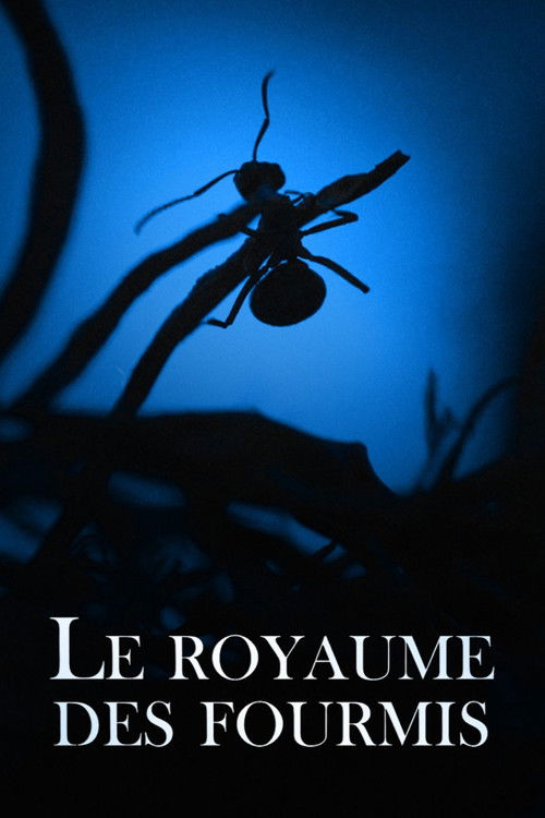 Le Royaume des fourmis (2022) poster
