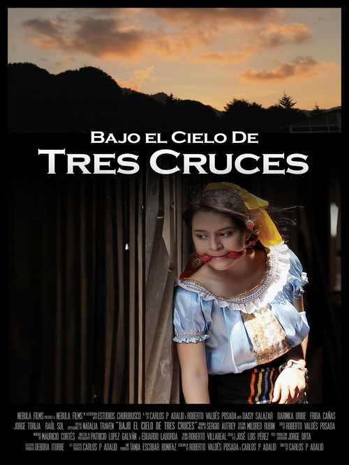 Bajo el cielo de Tres Cruces (2013) poster