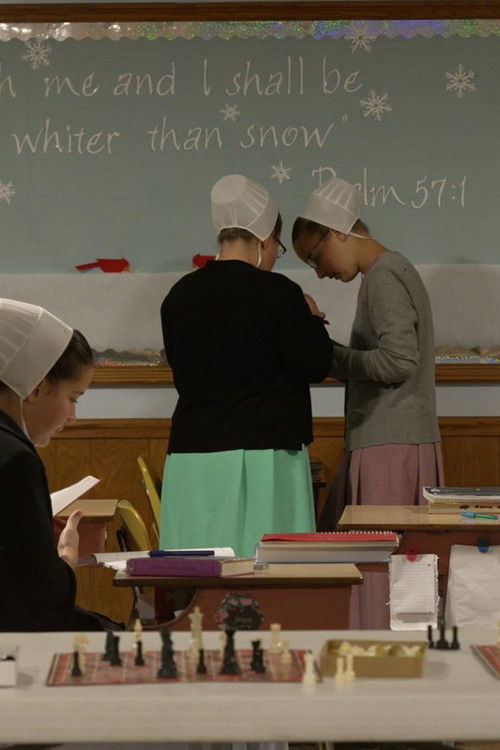 The Amish Dilemma (2024) poster