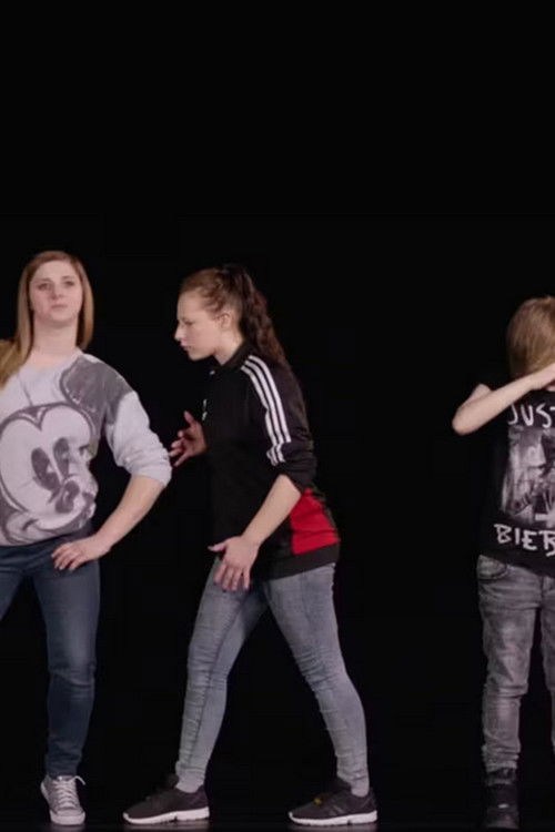 Little Review (2017) poster