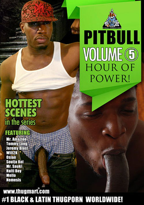 Pitbull 5: Hour Of Power (2013) poster