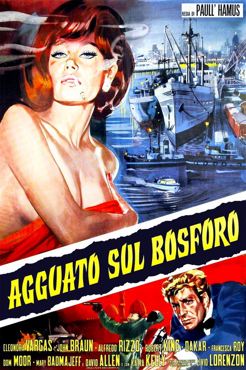 Agguato sul Bosforo (1969) poster