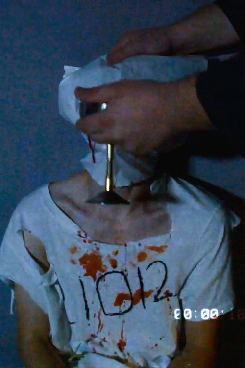 FALLEN FROM GRASE (2024) poster