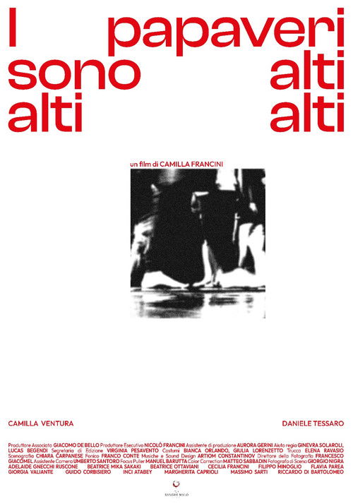 I Papaveri Sono Alti Alti Alti (2024) poster