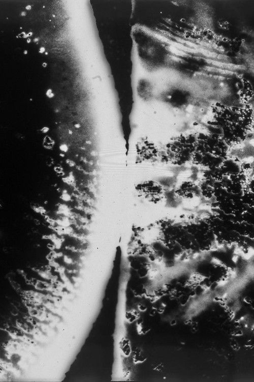 Further Radical (2020) poster