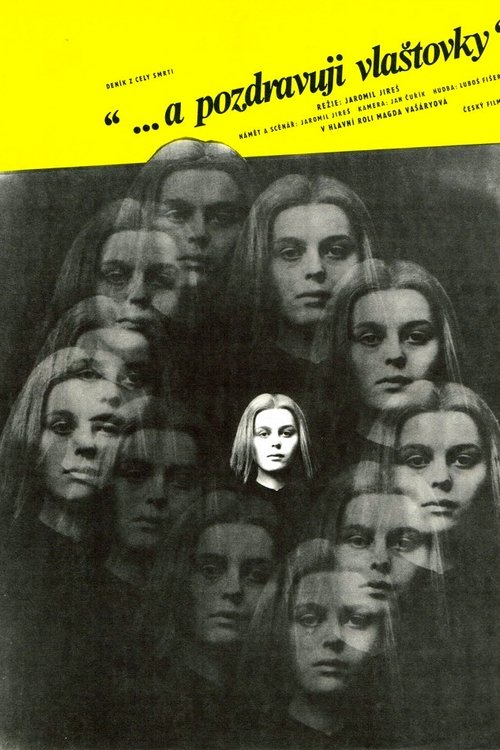 And Give My Love to the Swallows (1972) poster