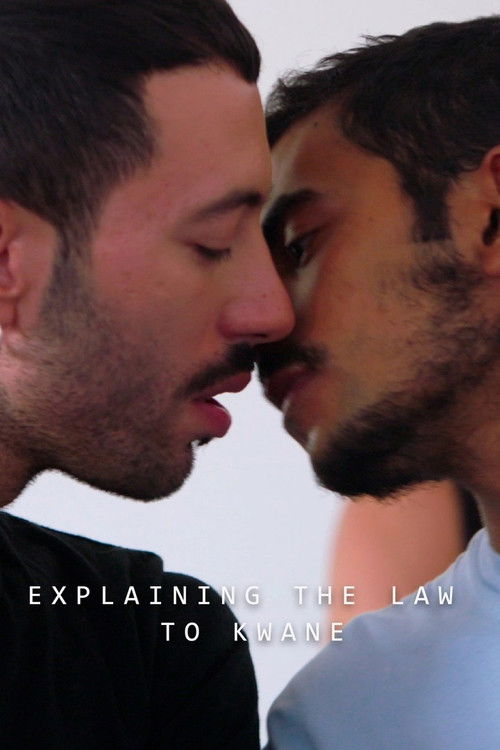 Explaining the Law to Kwame (2020) poster