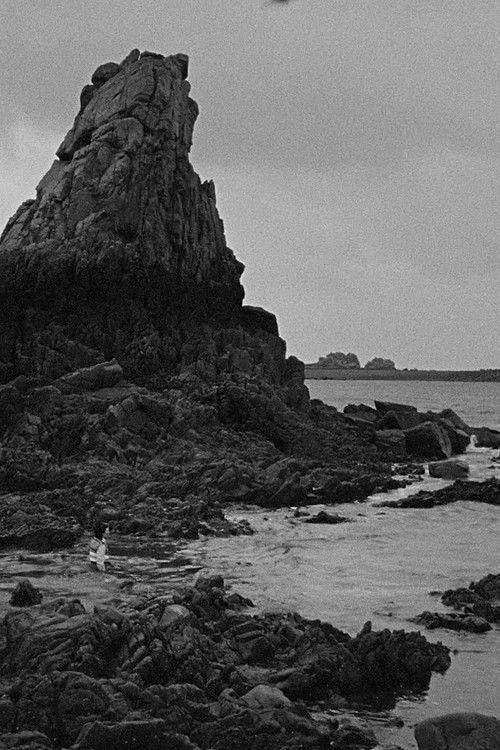 Algues noires (2025) poster