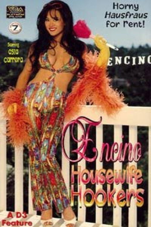Encino Housewife Hookers (1997) poster