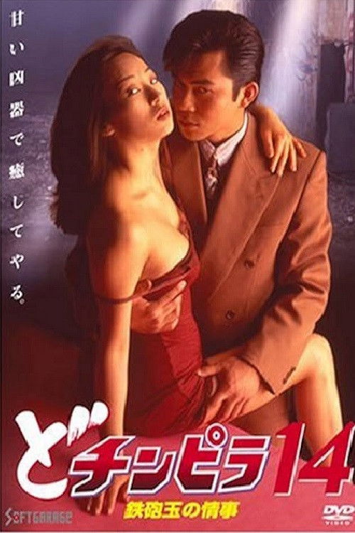 Dochinpira 14: A Hitman's Affair (1995) poster