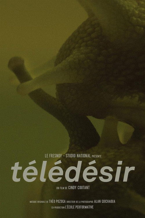 Télédésir (2018) poster