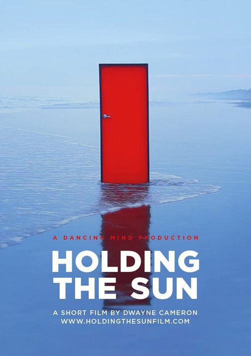 Holding the Sun (2013) poster