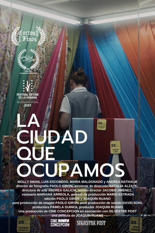 La ciudad que ocupamos (2024) poster