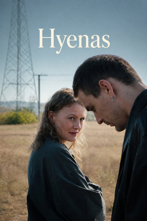 Hiénák poster