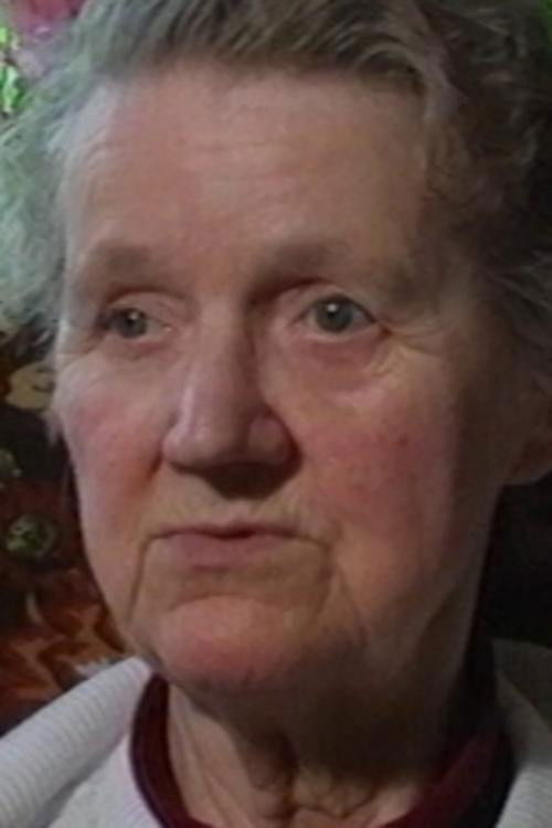 Stolen Lives (1994) poster