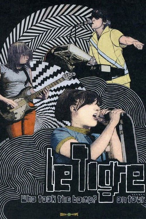 Who Took the Bomp? Le Tigre on Tour (2010) poster